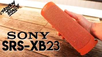 Sony SRS-XB23 REVIEW & SOUND TEST comparison with JBL Flip 5!