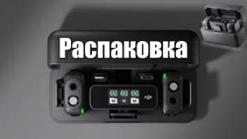 DJI MIC Распаковка