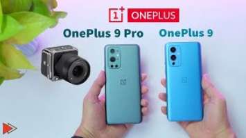 OnePlus 9 និង OnePlus 9 Pro បូកនឹង Hasselblad 2021 | Tech Plus Kh