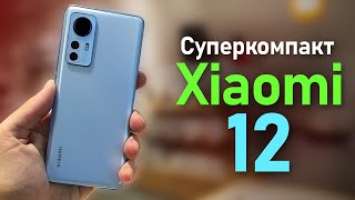 Xiaomi 12 и 12X долгожданный компактный смартфон от Сяоми. Первый взгляд из магазина