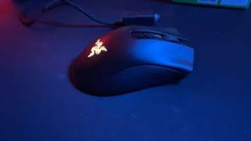 Razer DeathAdder V2 Pro