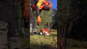 Stihl FS 260 C-E Meißelzahn Sägeblatt