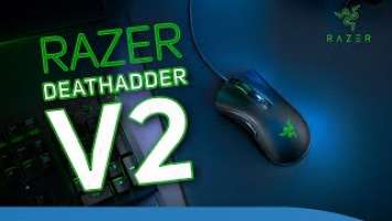 NEW DEATHADDER V2 Gaming Mouse?!? Comparison and Product Overview