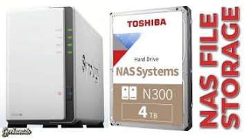 Synology DiskStation DS220j NAS ft Toshiba N300 NAS Hard Drives