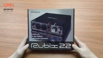 Roland RUBIX22 Внешний аудиоинтерфейс