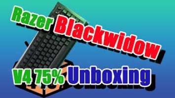 Razer Blackwidow V4 75% -- Unboxing & Sound Test