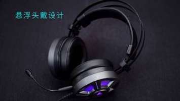 RAPOO Gaming Headset-VH510