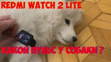 ФИТНЕС часы Xiaomi Redmi Watch 2 lite
