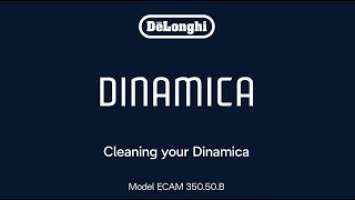 Dinamica ECAM 350.50.B | Care and Maintenance