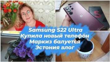 Эстония.Таллинн.Насыщенный влог.Купила Samsung Galaxy S22 Ultra.Распаковка.Цена.Продукты из Лидл