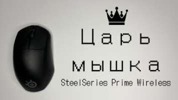 Обзор на игровую мышь SteelSeries Prime Wireless!!! Беспроводной монстр для ладонного хвата.