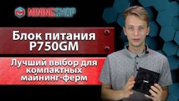 P750GM / Обзор модульного блока питания от GIGABYTE для компактных майнинг-ферм.