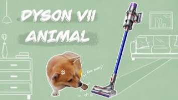 Dyson V11 Animal Unboxing | Dog vs. Dyson【Roguto】Vlog6 | 柯基大战吸尘器 | 戴森V11开箱