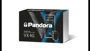 Pandora VX 4G v2 в Перми - все что надо знать!