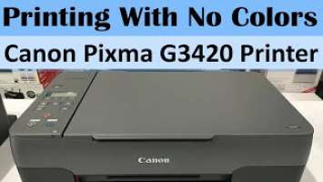 What to Do When Your Printer Is Printing Blank Pages? Canon Pixma G3420 Printer