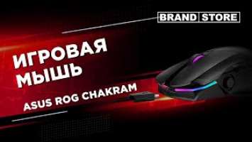 Обзор игровой мышки Asus ROG Chakram