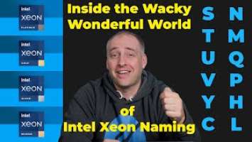 Wonderful World of Intel Xeon Scalable Platinum Gold and Silver Explained