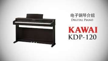 2021 KAWAI KDP120 - 全新改良经济实惠又性能强，坚持质量从不妥协