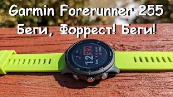 Garmin Forerunner 255 - Юниор с амбициями