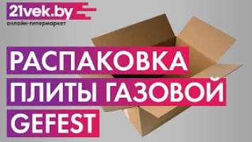 Распаковка — Плита газовая Gefest 6102-02