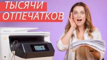 Мощный HP OfficeJet Pro 8730 | Обзор с Дариной