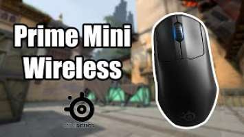 SteelSeries Prime Mini Wireless - Review (CS:GO/VALORANT) (ENG SUBS ON!)