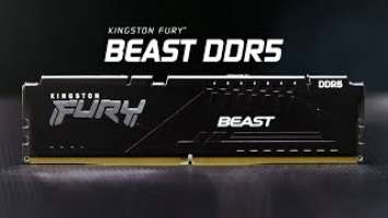 DDR5 Memory with speeds up to 6000MT/s – Kingston FURY Beast DDR5