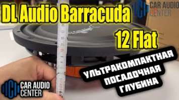 DL AUDIO BARRACUDA 12 FLAT