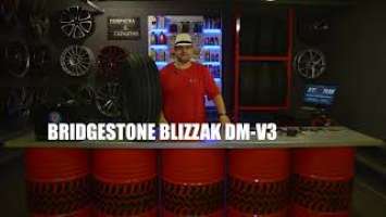 Обзор на ШИНЫ BRIDGESTONE BLIZZAK DM-V3