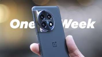 One week with OnePlus 11 | Borderline BRILLIANT!