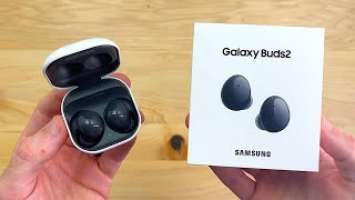 Samsung Galaxy Buds 2 Unboxing & First Impressions!