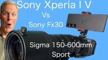 Sony Xperia 1V vs. Sony FX30 & Sigma 150-600mm Sport. Geekie Comparison