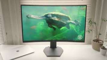 DELL S2722DGM Review - QHD 165Hz on the budget?