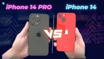 Unboxing and Comparing iPhone 14 & iPhone 14 Pro