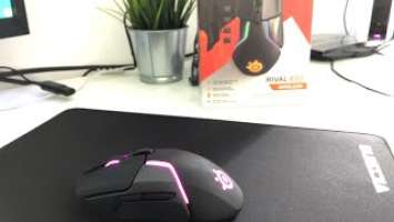 MEGÉRI? | Steelseries Rival 650 Wireless Mouse (4k)