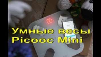 Умные весы Picooc Mini