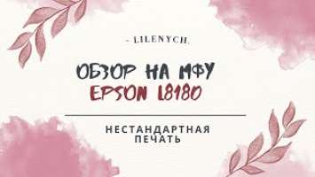 Нестандартная печать на Epson L8180: Печать на листах формата А6 в клетку (из тетради)