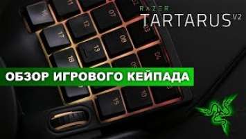 Razer Tartarus V2 Gaming Keypad Обзор. Тестирование кейпада на удобство в использовании