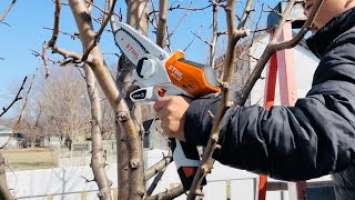 Testing the STIHL GTA 26: Mini Battery Powered Chainsaw! #stihl #chainsaw #gta26 #review #garden