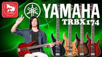 Бас-гитара YAMAHA TRBX174EW - гитара с верхней декой из дерева манго (Eye of the tiger bass cover)