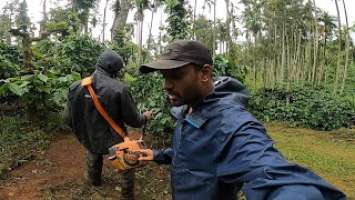 ONE OF THE BEST BRUSH CUTTER  STIHL FS250 LIGHT WEIGHT EASY TO HANDLE#agriculturevlog #ಕನ್ನಡವ್ಲಾಗ್