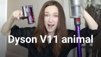 Dyson v11 Animal Cordless Stick Vacuum 1 Year Review  | Household With Multiple Pets.