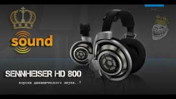 Обзор Sennheiser HD800. ВерШИНА динамического звука!