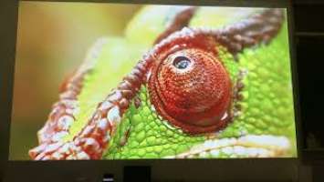 Best projector under £1000? Optoma hd29hst, HDR, vibrant colours, 132 inch picture onto white wall