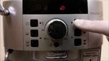 Delonghi ECAM 22.110 /  ECAM 21.117 Test Mode