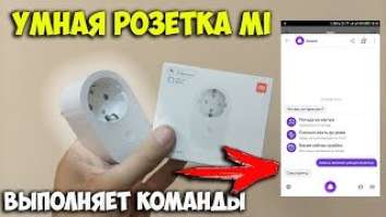 Умная розетка Xiaomi, которая выполняет голосовые команды через Яндекс Алиса!