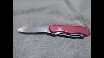 One week, one knife - Victorinox Workchamp