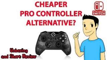 Cheaper Nintendo Switch Pro Controller Alternate?-Unboxing and Short Review