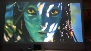 AVATAR 2 Trailer, optoma hd29hst mid budget projector, massive picture, amazing colours