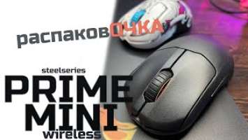  распаковОЧКА - steelseries PRIME MINI Wireless (меньше=лучше?). Отличия от PRIME Limited Edition